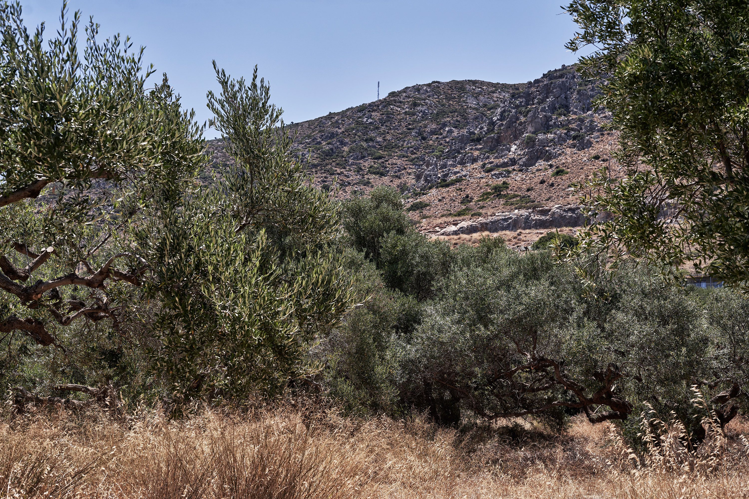 Esperides Resort Crete – Koutouloufari Village, Hersonissos, Crete